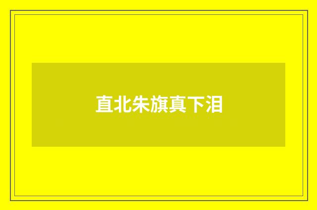 直北朱旗真下泪