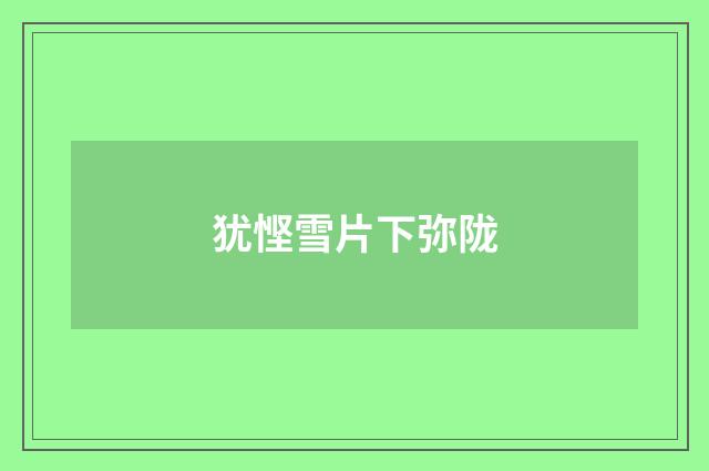 犹悭雪片下弥陇