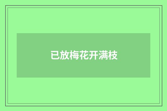 已放梅花开满枝
