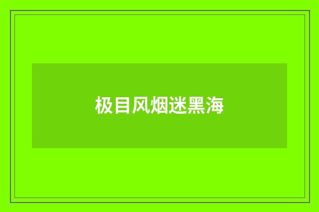极目风烟迷黑海