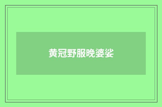 黄冠野服晚婆娑