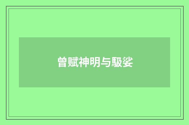 曾赋神明与馺娑