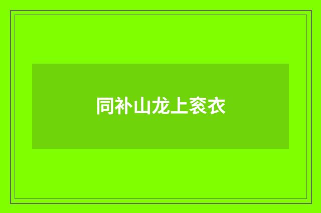 同补山龙上衮衣