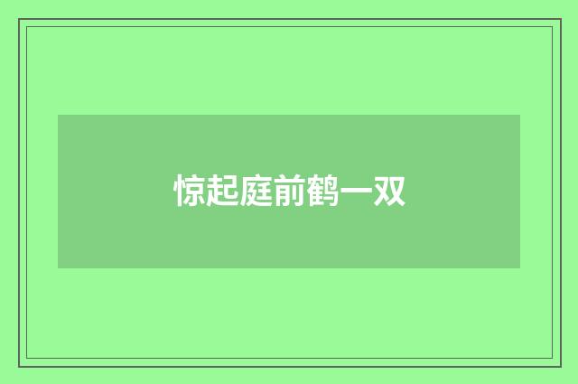 惊起庭前鹤一双
