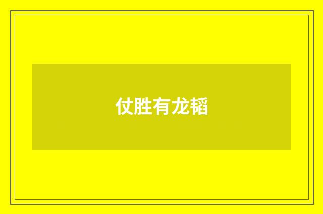 仗胜有龙韬