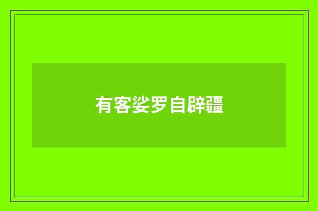 有客娑罗自辟疆