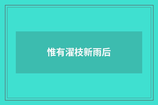 惟有濯枝新雨后