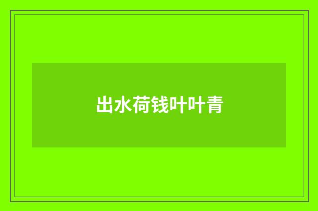 出水荷钱叶叶青