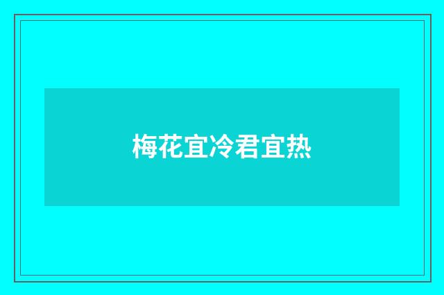 梅花宜冷君宜热