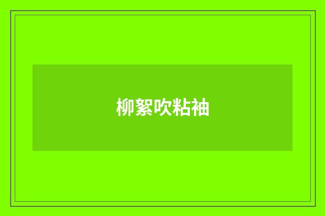 柳絮吹粘袖