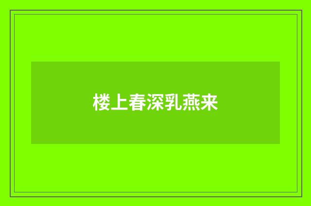 楼上春深乳燕来
