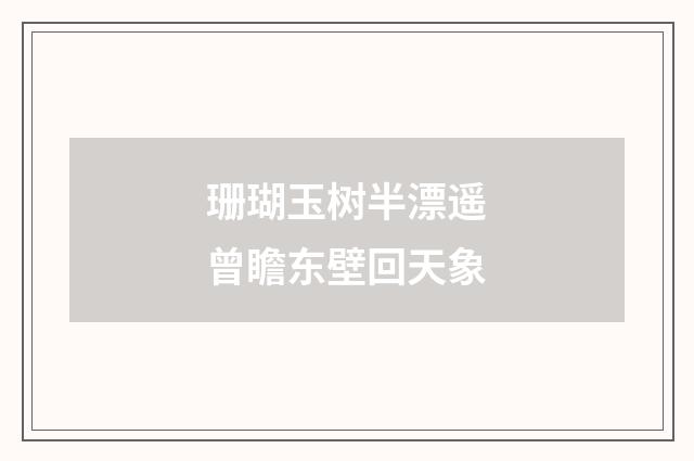珊瑚玉树半漂遥曾瞻东壁回天象
