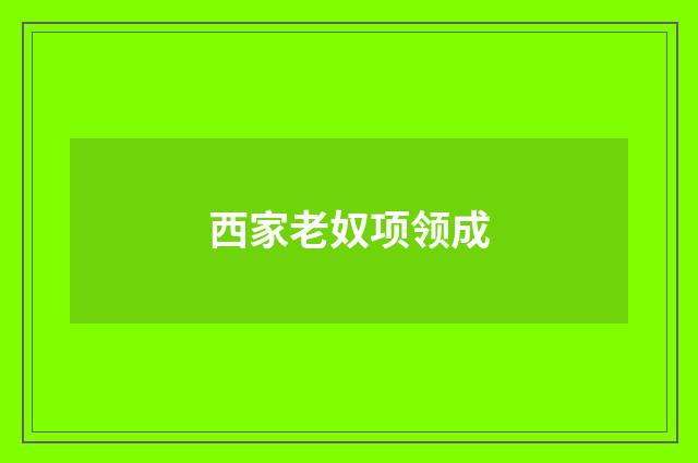 西家老奴项领成