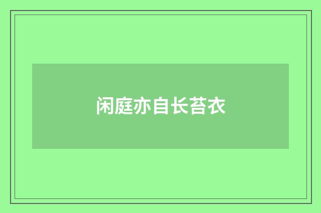 闲庭亦自长苔衣