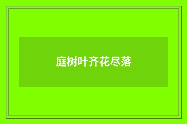 庭树叶齐花尽落
