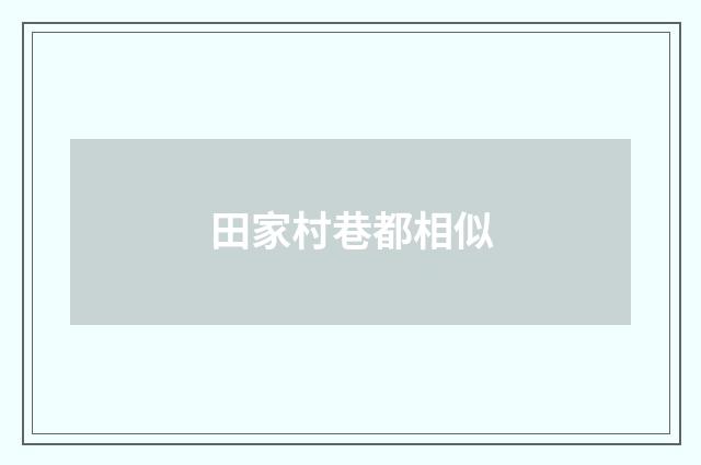 田家村巷都相似