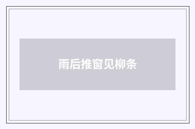 雨后推窗见柳条