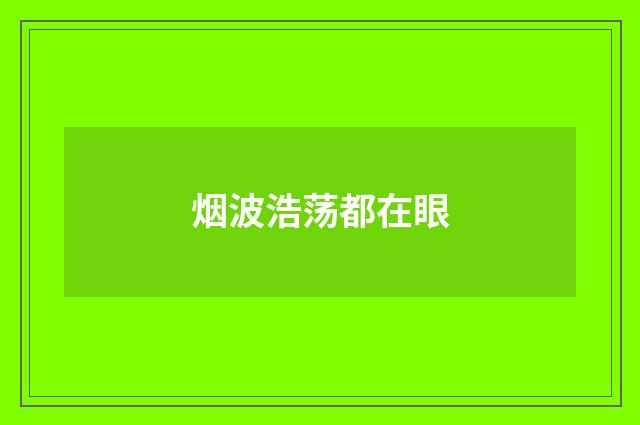 烟波浩荡都在眼