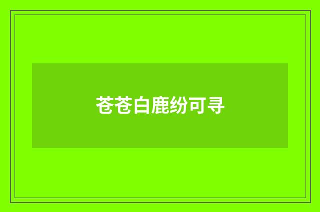 苍苍白鹿纷可寻