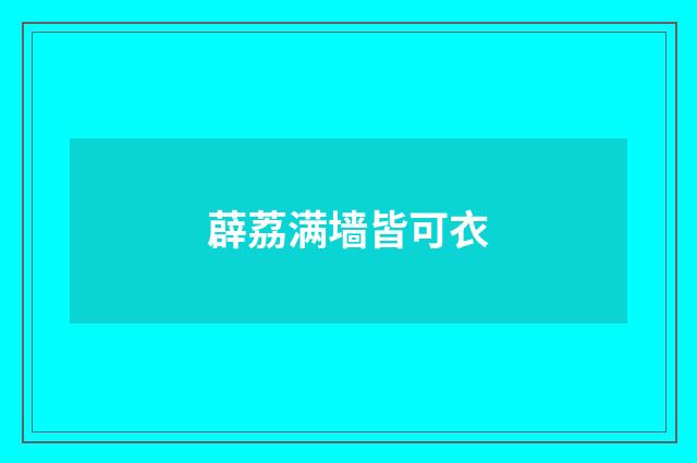 薜荔满墙皆可衣