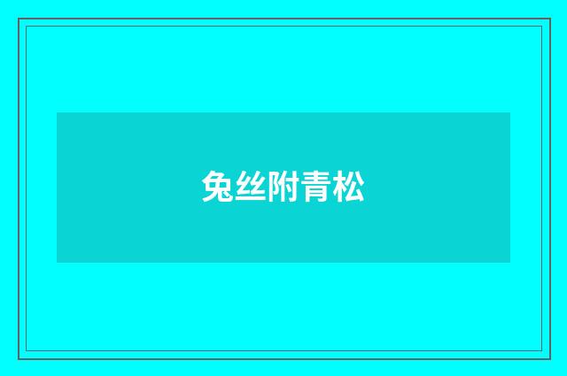 兔丝附青松