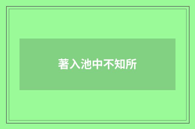 著入池中不知所