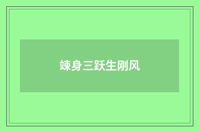 竦身三跃生刚风