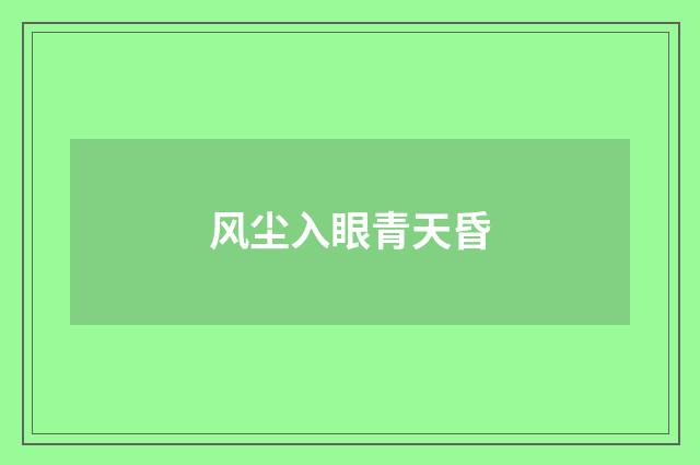 风尘入眼青天昏