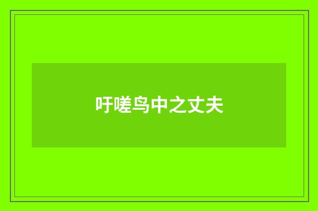 吁嗟鸟中之丈夫