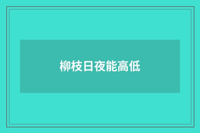 柳枝日夜能高低