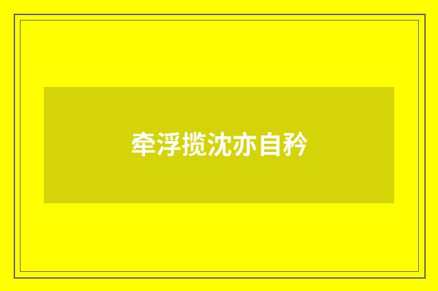 牵浮揽沈亦自矜