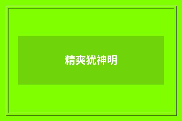 精爽犹神明