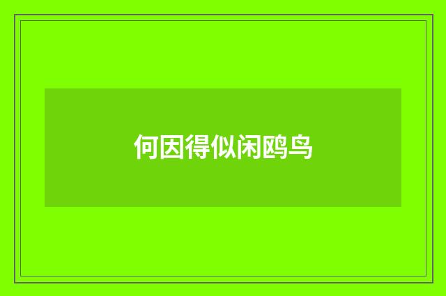 何因得似闲鸥鸟