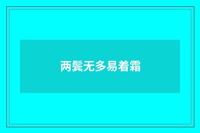 两鬓无多易着霜