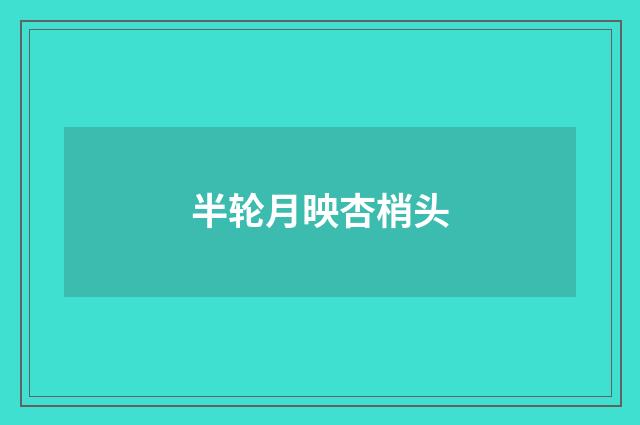 半轮月映杏梢头