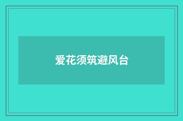 爱花须筑避风台