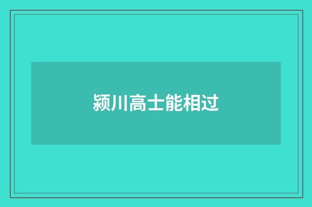 颍川高士能相过