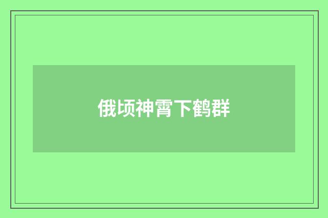 俄顷神霄下鹤群