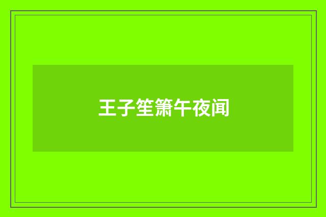 王子笙箫午夜闻