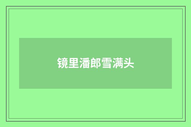 镜里潘郎雪满头