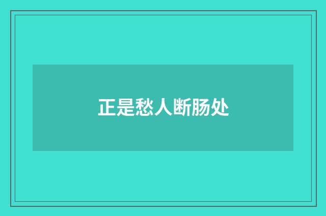 正是愁人断肠处