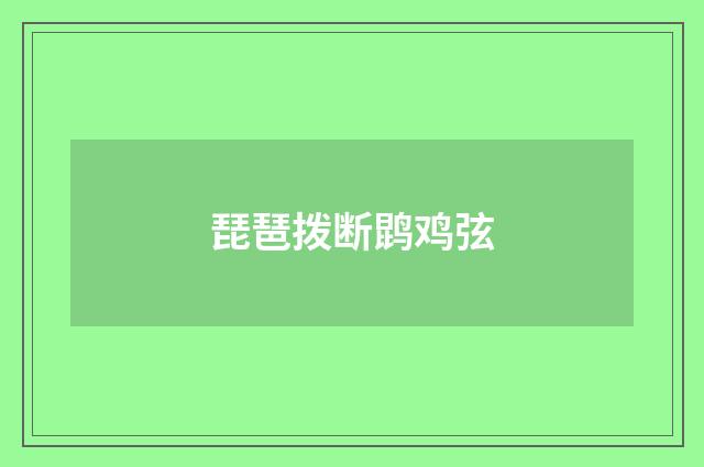 琵琶拨断鹍鸡弦