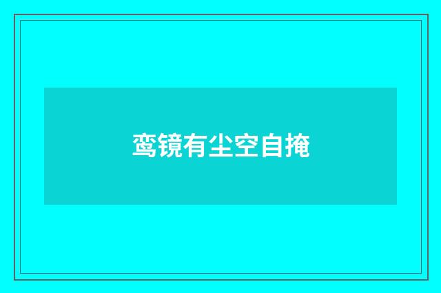 鸾镜有尘空自掩