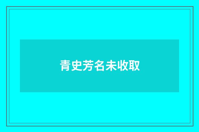 青史芳名未收取