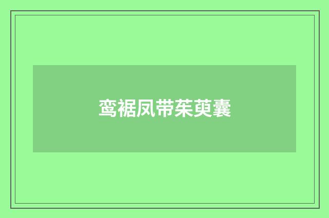 鸾裾凤带茱萸囊