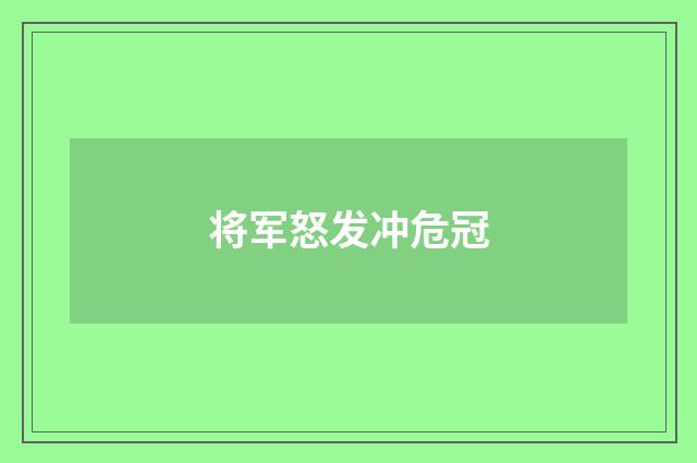 将军怒发冲危冠