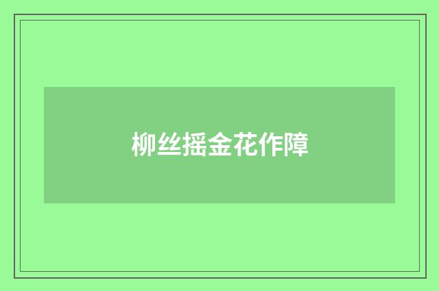 柳丝摇金花作障