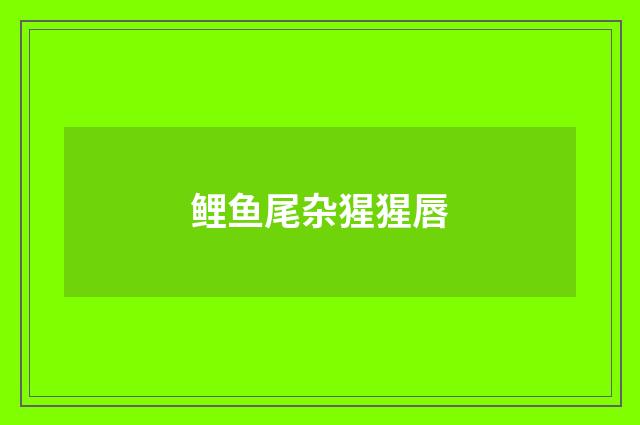 鲤鱼尾杂猩猩唇