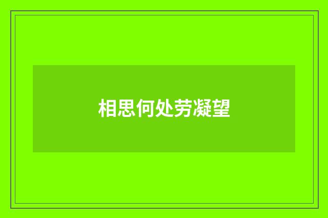 相思何处劳凝望