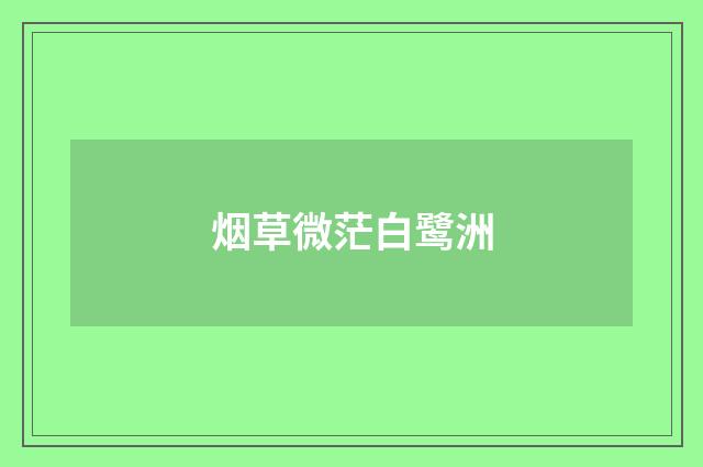 烟草微茫白鹭洲